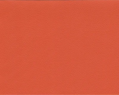 Orange - E067