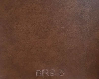 BR9_05