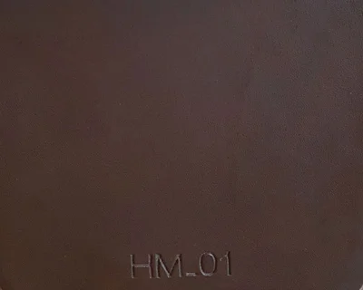 HM_01