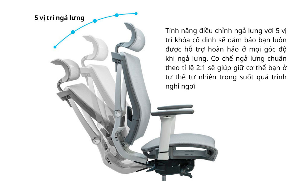 Ghế công thái học ngả lưng nhiều góc độ - Xưởng Mộc HACHI