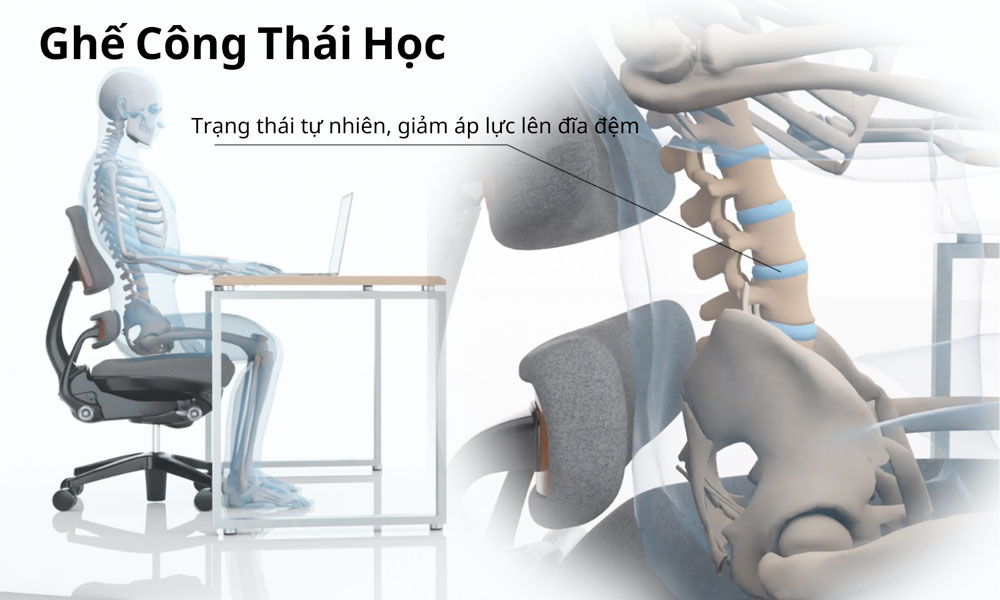 Ghế công thái học hỗ trợ vùng thắt lưng - Xưởng Mộc HACHI